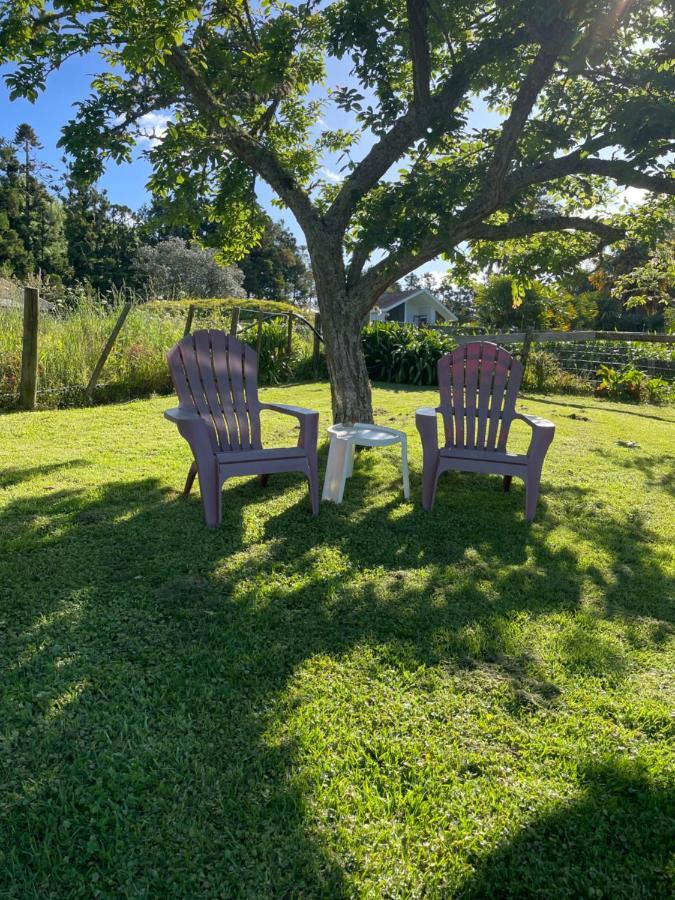 Holiday home Cotman On Coatesville Kumeu